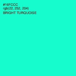 #16FCCC - Bright Turquoise Color Image